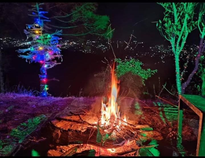 Aagaman Woods Apartman Simlá Kültér fotó